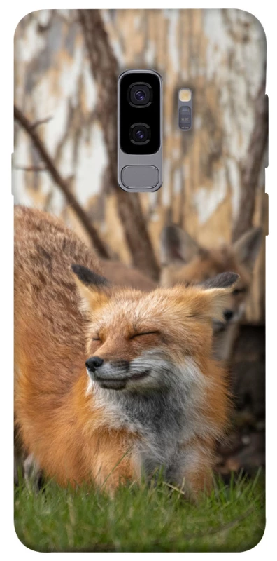 Чохол на Samsung Galaxy S9+ Лисиця фото 1 з 1