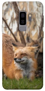 Чохол на Samsung Galaxy S9+ Лисиця фото 1 з 1