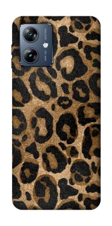 Чохол на Motorola Moto G54 Power Leopard Skin фото 1 з 1