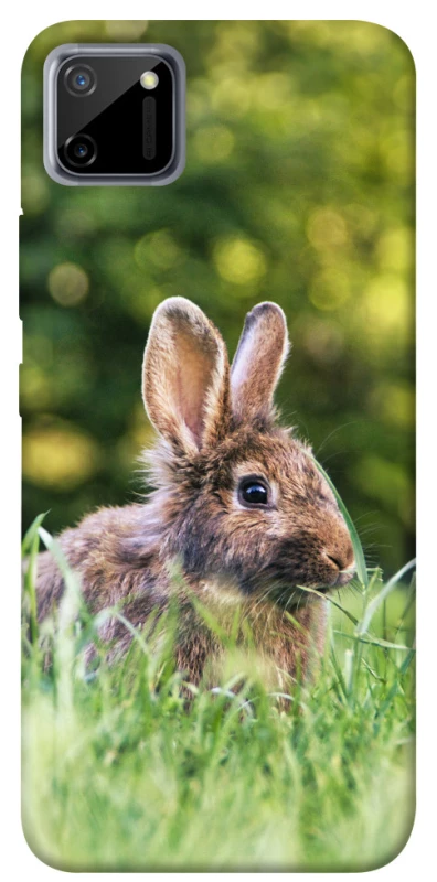 Чехол на Realme C11 Кролики фото 1 из 1