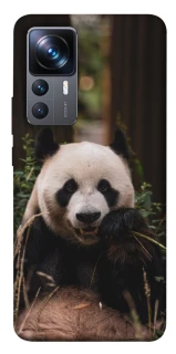 Чехол на Xiaomi 12T / 12T Pro Панда фото 1 из 1