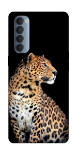 Чехол на Oppo Reno 4 Pro Leopard v2 фото 1 из 1