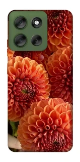 Чехол на Motorola Moto G56 5G Flower1 фото 1 из 1