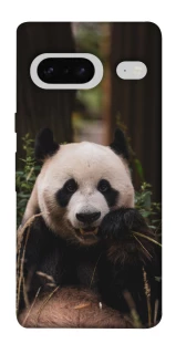 Чехол на Google Pixel 7 Панда фото 1 из 1