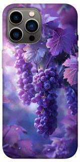 Чехол на Apple iPhone 12 Pro Max (6.7") Bunch of grapes фото 1 из 1