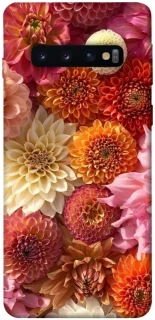 Чохол на Samsung Galaxy S10 Bouquet фото 1 з 1