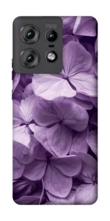 Чохол на Motorola Edge 50 Pro Floral Symphony фото 1 з 1