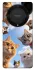 Чехол на Huawei Magic5 Lite Cats фото 1 из 1