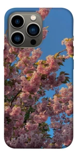 Чохол на Apple iPhone 13 Pro (6.1") Flowers v4 фото 1 з 1