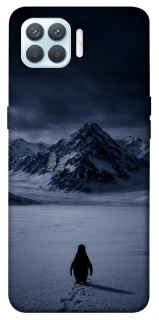 Чехол на Oppo F17 Pro But why? фото 1 из 1