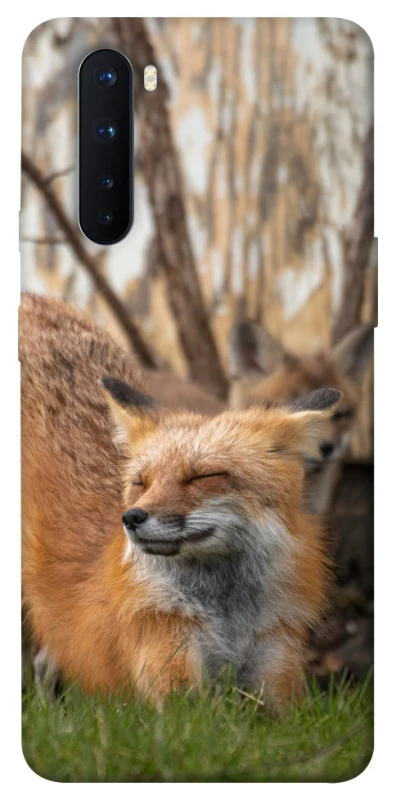 Чехол на OnePlus Nord Лиса фото 1 из 1