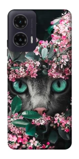 Чохол на Motorola Moto G35 Кіт в квітах фото 1 з 1