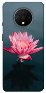 Чехол на OnePlus 7T Лотос фото 1 из 1