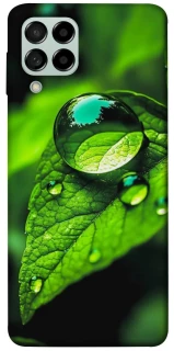 Чехол на Samsung Galaxy M53 5G Flowers v16 фото 1 из 1