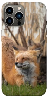 Чехол на Apple iPhone 12 Pro Max (6.7") Лиса фото 1 из 1