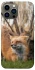 Чехол на Apple iPhone 13 Pro Max (6.7") Лиса фото 1 из 1