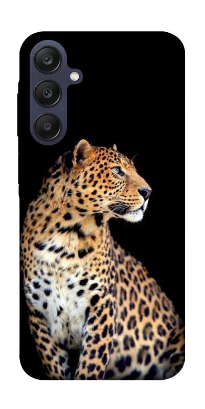Чохол на Samsung Galaxy A25 5G Leopard v2 фото 1 з 1