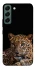 Чехол на Samsung Galaxy S22 Leopard v4 фото 1 из 1
