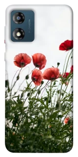 Чехол на Motorola Moto E13 Поле маков фото 1 из 1