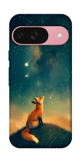 Чехол на Google Pixel 9 Sky fox фото 1 из 1