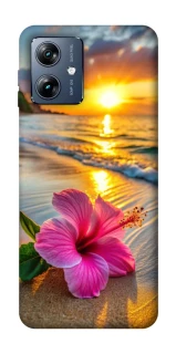 Чехол на Motorola Moto G54 Power Flowers v22 фото 1 из 1