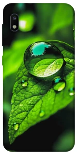 Чохол на Samsung Galaxy A10 (A105F) Flowers v16 фото 1 з 1