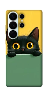 Чохол на Samsung Galaxy S26 Black cat v2 фото 1 з 1