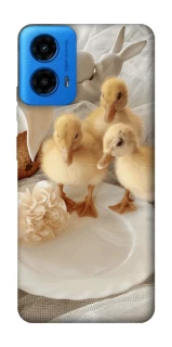 Чехол на Motorola Moto G45 Easter Vibes фото 1 из 1