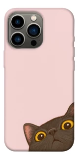 Чохол на Apple iPhone 13 Pro (6.1") Peeping cat фото 1 з 1