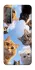Чохол на Huawei Nova 7 SE Cats фото 1 з 1