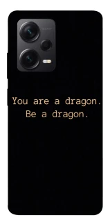 Чохол на Xiaomi Redmi Note 12 Pro 5G House of the Dragon ver.9 фото 1 з 1