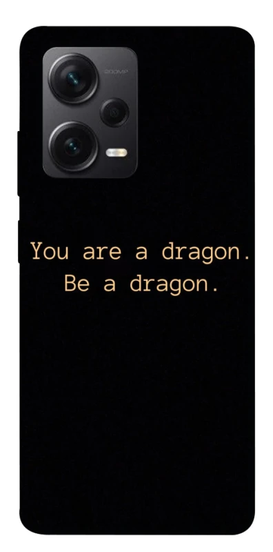 Чехол на Xiaomi Redmi Note 12 Pro+ 5G House of the Dragon ver.9 фото 1 из 1