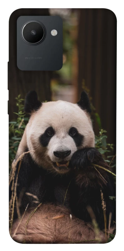 Чехол на Realme C30 Панда фото 1 из 1