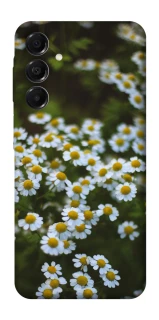 Чехол на Samsung Galaxy A17 4G/5G Ромашки v13 фото 1 из 1