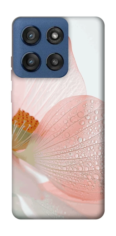 Чохол на Motorola Edge 60 Stylus Flowers zon фото 1 Чохол на Motorola Edge 60 Stylus Flowers zon фото 1 з 1