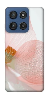 Чохол на Motorola Edge 60 Stylus Flowers zon фото 1 Чохол на Motorola Edge 60 Stylus Flowers zon фото 1 з 1