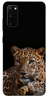 Чохол на Samsung Galaxy S20 Leopard v4 фото 1 з 1