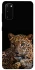 Чехол на Samsung Galaxy S20 Leopard v4 фото 1 из 1