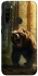 Чохол на Xiaomi Redmi Note 8 Bear V3 фото 1 з 1