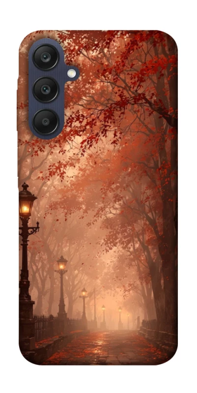 Чехол на Samsung Galaxy A25 5G boulevard фото 1 из 1