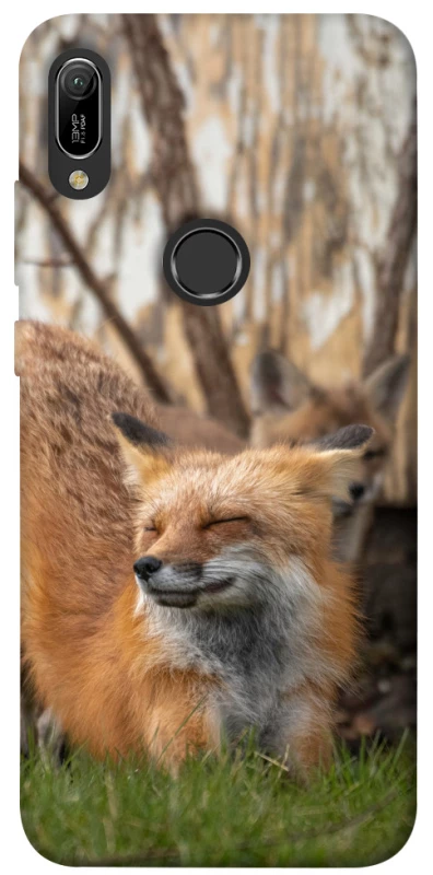 Чехол на Huawei Y6 (2019) Лиса фото 1 из 1