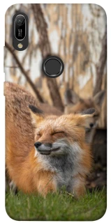 Чехол на Huawei Y6 (2019) Лиса фото 1 из 1
