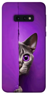 Чохол на Samsung Galaxy S10e Кіт-підглядач фото 1 з 1
