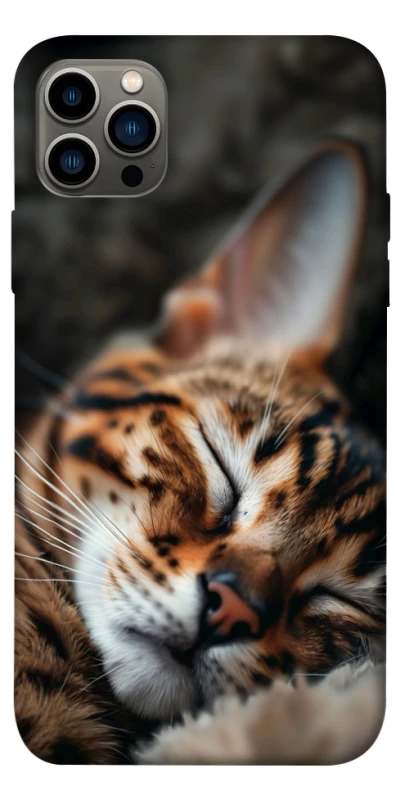 Чехол на Apple iPhone 12 Pro (6.1") Cat paws фото 1 из 1