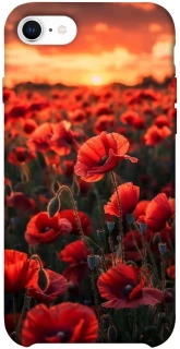 Чохол на Apple iPhone SE (2020) Flowers v27 фото 1 з 1