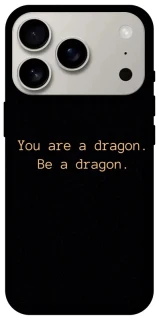 Чехол на Apple iPhone 17 Pro (6.3") House of the Dragon ver.9 фото 1 из 1
