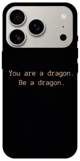 Чехол на Apple iPhone 18 Pro House of the Dragon ver.9 фото 1 из 2