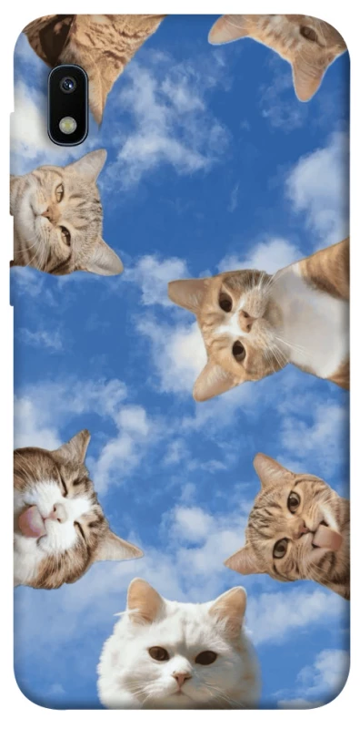 Чохол на Samsung Galaxy A10 (A105F) Сats фото 1 з 1