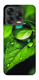 Чехол на ZTE Blade V70 Design Flowers v16 фото 1 из 2