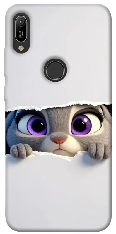 Чехол на Huawei Y6 (2019) Zootopia фото 1 из 1